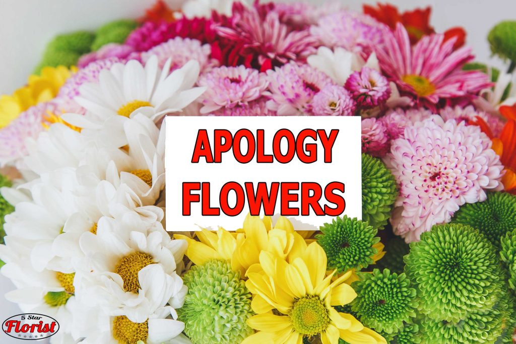 apology flowers Toronto